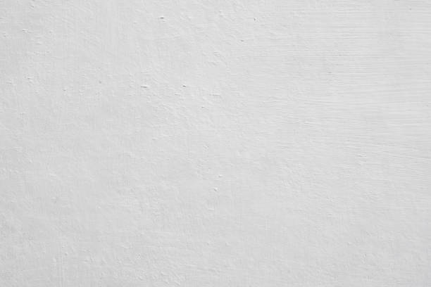 Best Attic Mold Removal  in Newfoundland, NJ