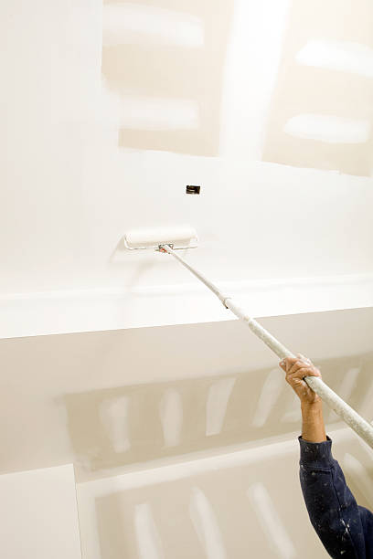 Mold Removal for HVAC Installations in Newfoundland, NJ