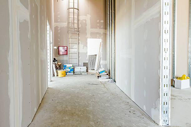 Newfoundland, NJ Mold Removal Company