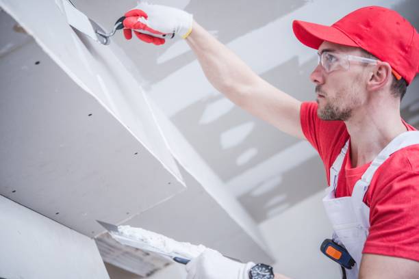 Best Industrial Mold Remediation  in Newfoundland, NJ